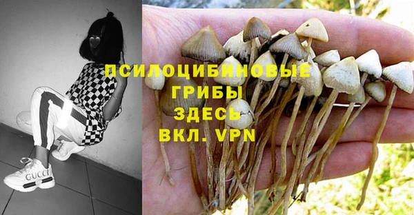 крисы Навашино