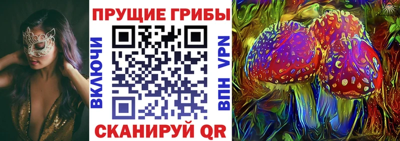 закладки Инза Псилоцибиновые грибы GOLDEN TEACHER